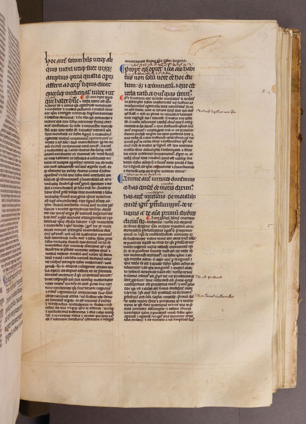 Folio 117 recto